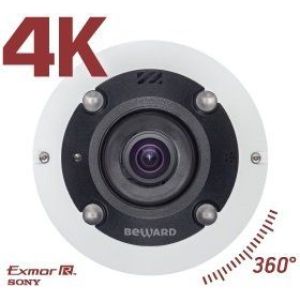 BD3990FL2 IP-камера купольная