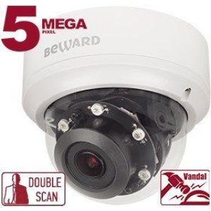 BD4780DV Видеокамера IP купольная