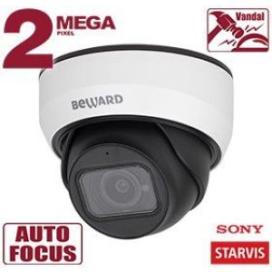 SV2012DZ Видеокамера IP купольная