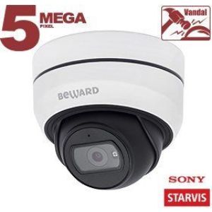 SV3210DB (2,8 мм) IP-камера купольная уличная