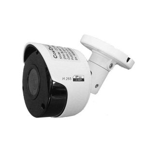 CO-RS21P Видеокамера IP цилиндрическая