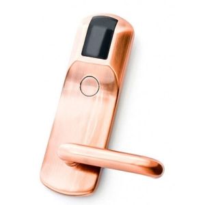 Z-8 EHT (бронза) (EHT) Замок электромеханический