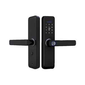 ALFL-17BL Замок электромеханический врезной биометрический