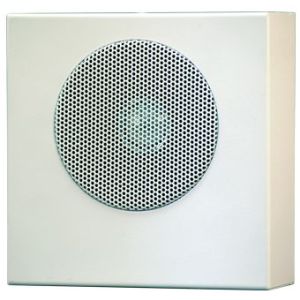 АСР-03.1.2 исп.2-100В Громкоговоритель настенный