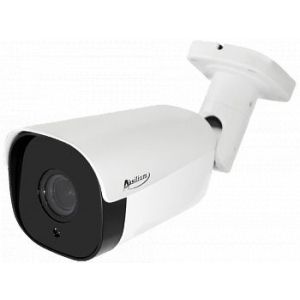 IP-203 VP (2.8-12) 2 Termo AI