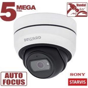 SV3212DZ Видеокамера IP купольная