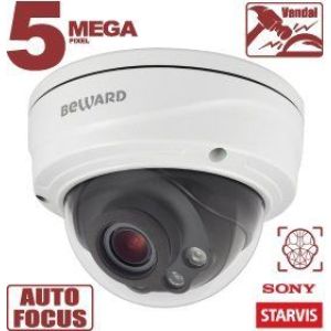 SV3218DVZ Видеокамера IP купольная