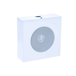 АСР-03.1.2 исп.2.3 Громкоговоритель настенный