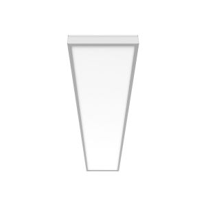 Федерация 50W 1195