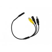 MIC-01