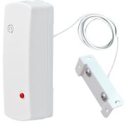 СТЗ-РК (2 ДЗ-3В) Сигнализатор тревожный затопления радиоканальный