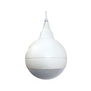 CSB-20TW Громкоговоритель потолочный сферический