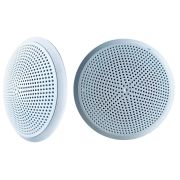 С-Т-100-1/3 ВТ исп.2 Громкоговоритель потолочный