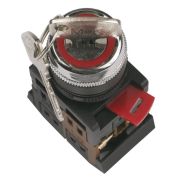 Переключатель AKS-22 на 2 положения «I-O» 1з+1р с ключом черный (BSW10-AKS-2-K02) Переключатель с ключом