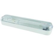 ДПБ 01-2х6-001 12 Вт, LED, 1000 лм, 4000 К, IP40 Светильник вандалоустойчивый