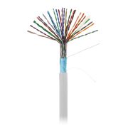 Кабель NETLAN F/UTP 25 пар, Кат.5 (Класс D), 100МГц, одножильный, BC (чистая медь), внутренний, PVC нг(B), серый, 305м