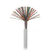 Кабель NETLAN U/UTP 50 пар, Кат.5 (Класс D), 100МГц, одножильный, BC (чистая медь), внутренний, PVC нг(B), серый, 305м