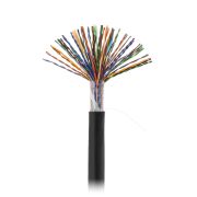 Кабель NETLAN U/UTP 50 пар, Кат.5 (Класс D), 100МГц, одножильный, BC (чистая медь), внешний, PE до -40C, черный, 305м