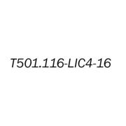 Лицензионный ключ на увеличение E1 портов с 4 до 16 для T501.116.404