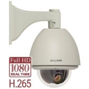 B85-20H2 Видеокамера IP поворотная