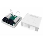 SB1-2-8P8C-C5e-WH Розетка RJ-45