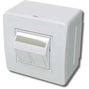 Коробка в сборе с 2 розетками RJ45, кат.5е, белая (10656) Коробка в сборе