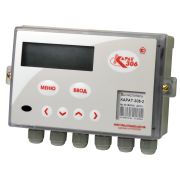 Вычислитель КАРАТ-306 - 5V2T0P с интерфейсом LoRaWAN