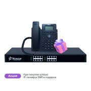 Аналоговый шлюз Yeastar TA1600 (SNR-VP-72-P)