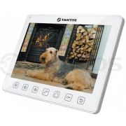 Sherlock (VZ или XL)